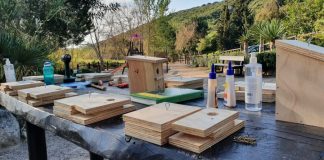 2º taller de educación ambiental Taller cajas nido