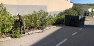 Trabajos de poda y desbroce en el Polígono Industrial desbroce poligono industrial de Manilva