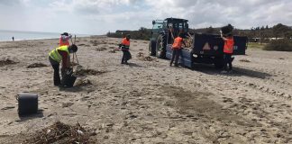 Limpieza de playas tras el temporal limpieza de playas