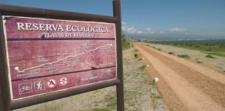 Reparaciones en la senda litoral Reserva ecológica playas de Manilva