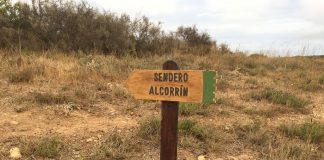 Homologación de senderos y caminos Sendero Alcorrin