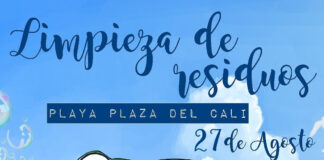 Limpieza de residuos en la playa a cambio de un regalo limpieza de playa
