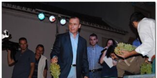 Tradicional concurso de racimos de uvas Concurso 2015