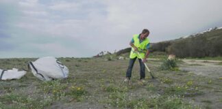 Limpieza y mantenimiento de la reserva ecológica
