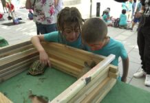 La Plaza de Manilva se convierte en una granja