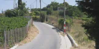 Desbroce y mejoras de caminos rurales Chorro Manso