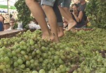 Este fin de semana se celebra la Vendimia Vendimia de Manilva