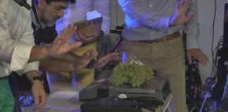 Tradicional concurso de racimos de uvas Concurso de racimos de uvas