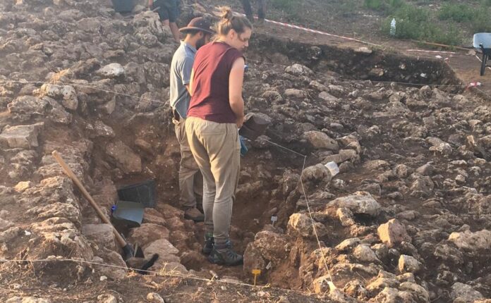 Yacimiento de Alcorrin