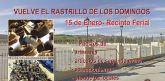 Vuelve el rastro de los domingos