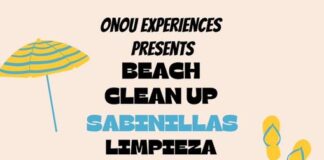 Limpieza de playas para el 11 de febrero