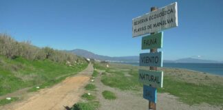 Labores de mantenimiento en la reserva ecológica reserva ecologica Playas de Manilva
