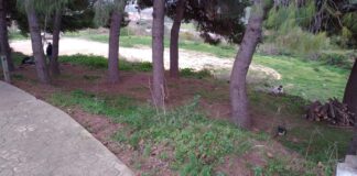 Nueva zona verde de recreo en Manilva zona verde Manilva