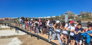 Primera visita oficial al yacimiento del Castillo visita yacimiento del Castillo
