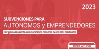 Subvenciones al emprendimiento y consolidación