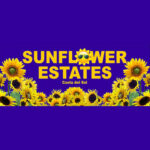 SUNFLOWER2