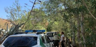 Detectan evidencias de envenenamiento en árboles en La Peñuela seprona