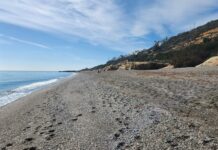 La Playa de las Arenas se convertirá en playa canina playa de las arenas