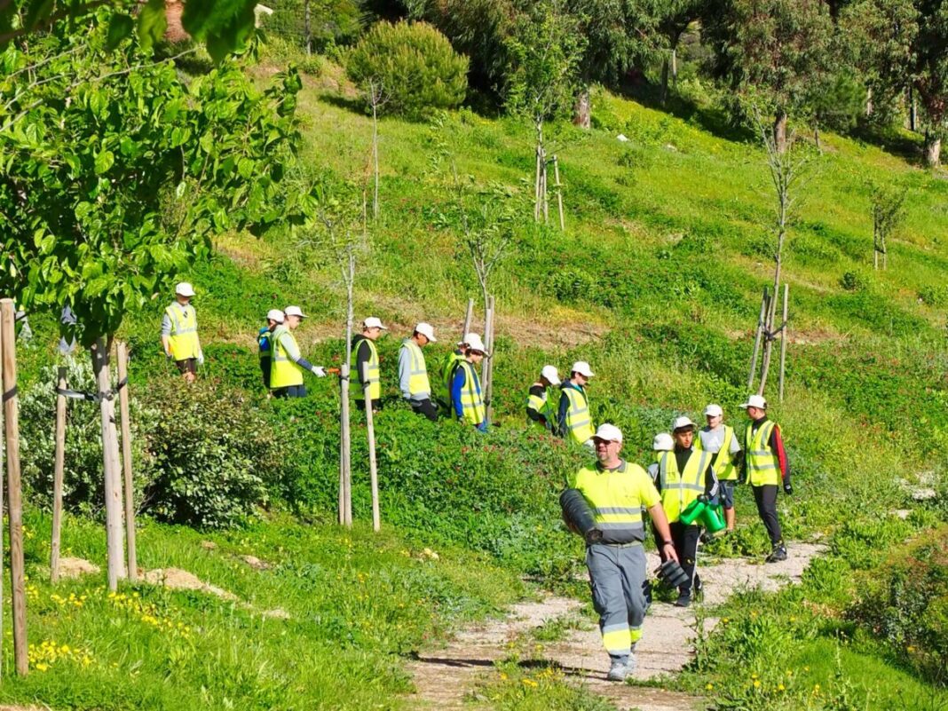 Plantación Manilva