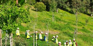 Estudiantes del IES Las Viñas celebran el día de los árboles Plantación Manilva