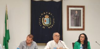 Plenos extraordinarios para el miércoles pleno Extraordinario
