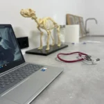 Clinica veterinaria Sabinillas