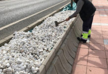 Plan de embellecimiento y ahorro hídrico jardineras