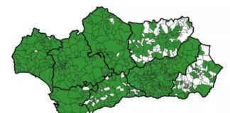 Manilva carece de planes de emergencia para hacer frente a catástrofes naturales planes de emergencia locales