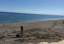 Avances en la playa canina de Las Arenas Playa de perros en Manilva