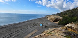 La Playa canina espera estar abierta para Semana Santa playa canina