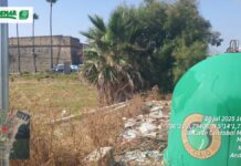 VERDEMAR E.A cree que la empresa se ha extralimitado en la zona arqueológica del Castillo