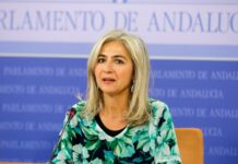 Se inician los trámites de sanción al Ayuntamiento por los movimientos en el Castillo Patricia del Pozo