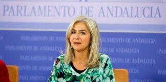 Se inician los trámites de sanción al Ayuntamiento por los movimientos en el Castillo Patricia del Pozo
