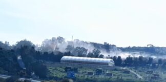 Verdemar alerta del impacto ambiental y sanitario del complejo industrial de La Utrera cantera