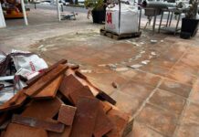 La palmera que rompió un gobierno vuelve al foco ocho años más tarde