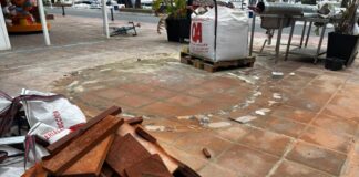 La palmera que rompió un gobierno vuelve al foco ocho años más tarde