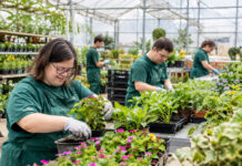 Se somete a información pública el proyecto para crear un Centro Especial de Empleo y Formación para Vivero Vivero Centro especial de empleo