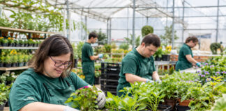 Se somete a información pública el proyecto para crear un Centro Especial de Empleo y Formación para Vivero Vivero Centro especial de empleo