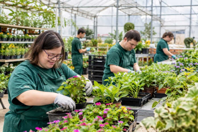 Vivero Centro especial de empleo